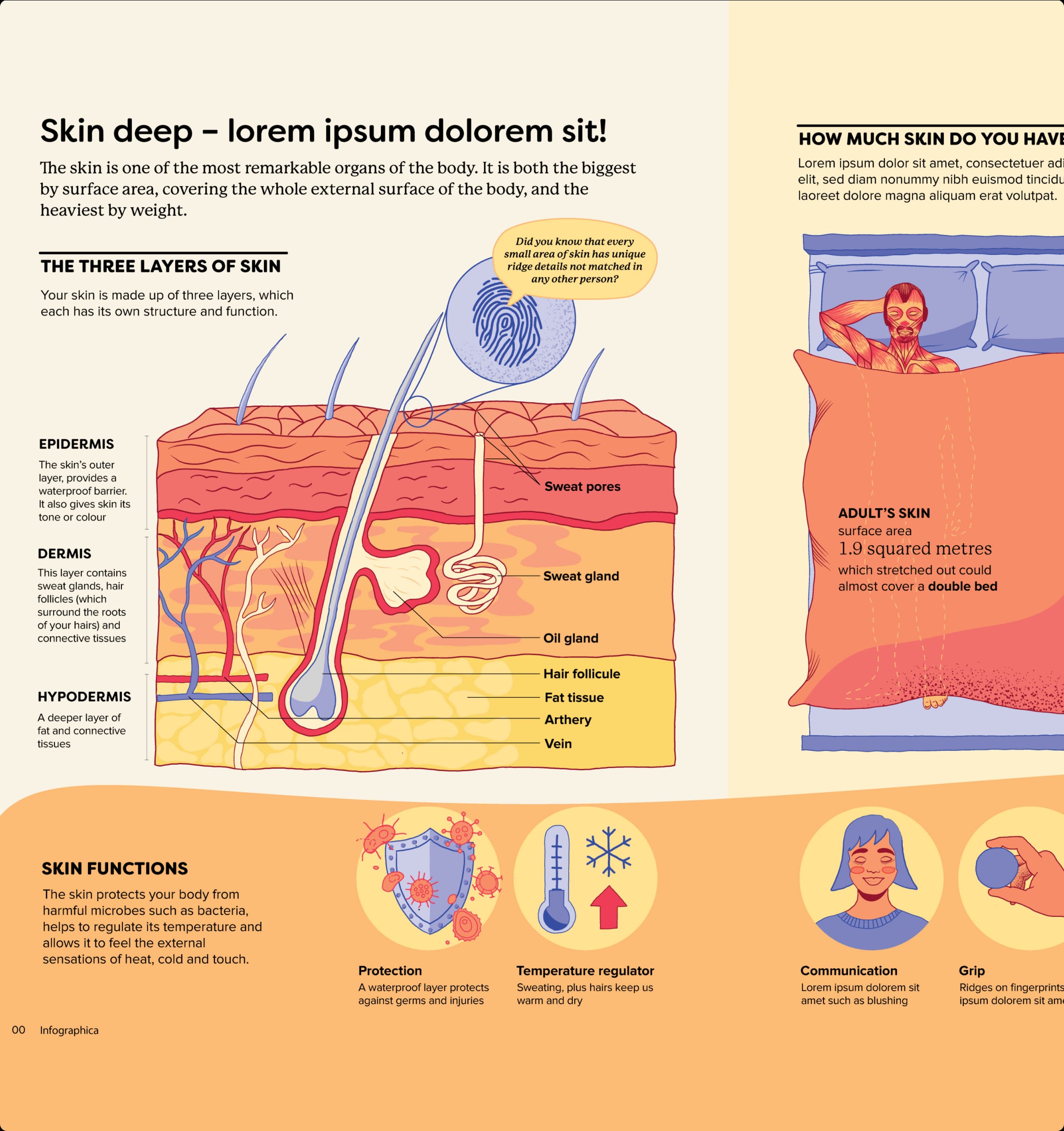 Illustration and refinement