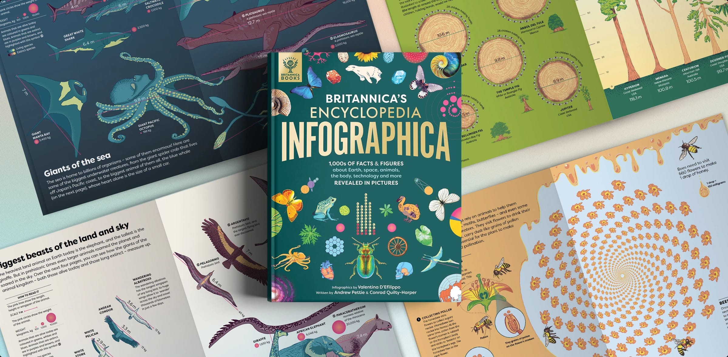 Infographica — an illustrated infographic encyclopedia for children.