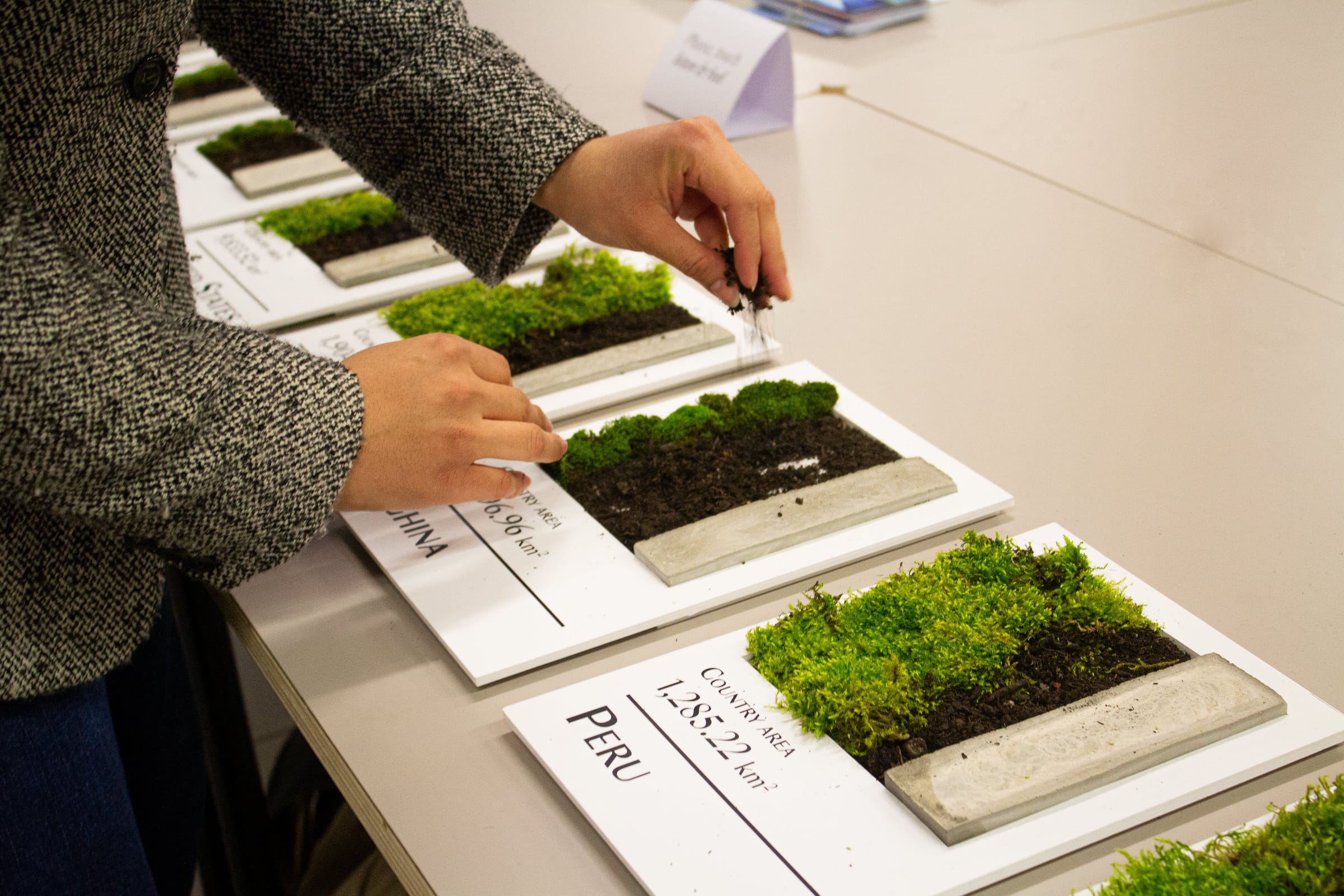 Hands arranging the moss on the land-use boards, Peru in front