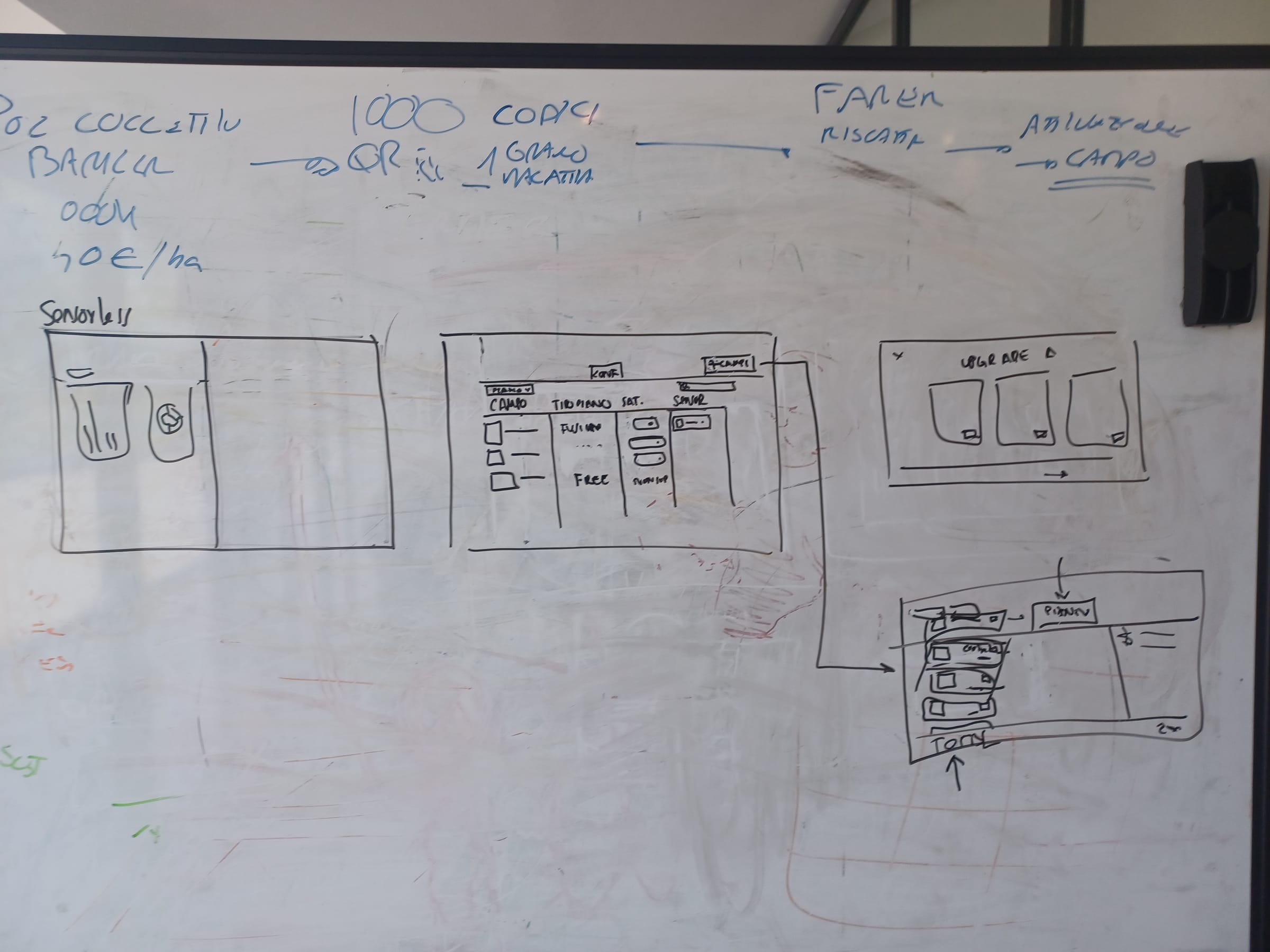 Layout explorations